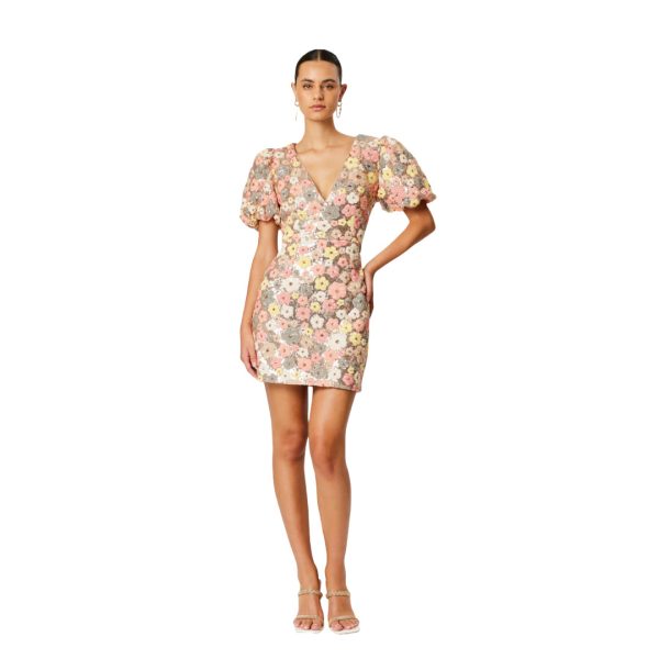 Daisy - Image 4