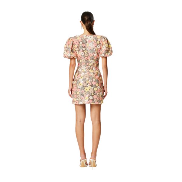 Daisy - Image 5